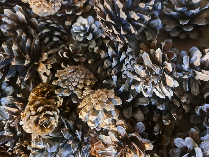 PRIEDES UN LAPEGLES ČIEKURI (700G.)