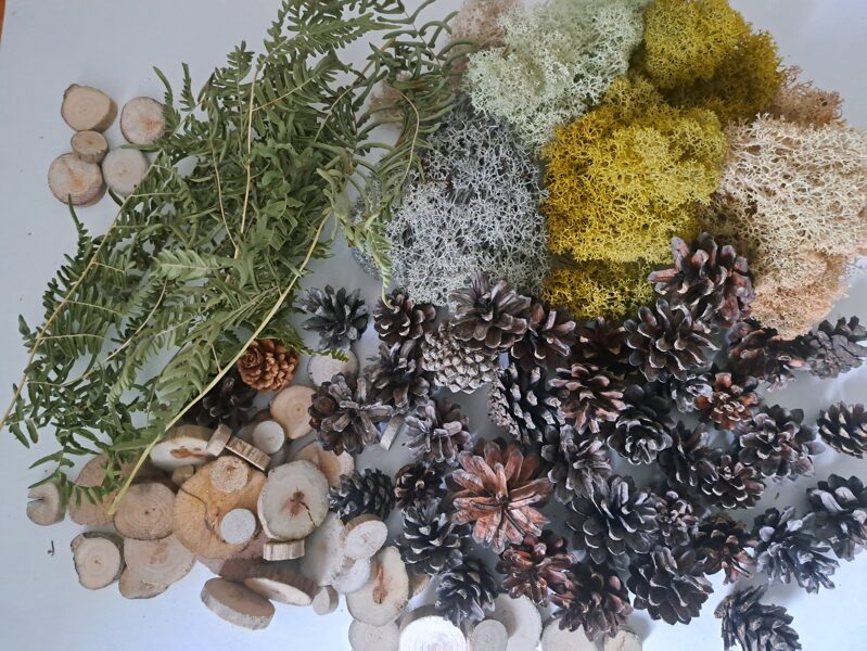  Dabas dārgumu komplekts radošām nodarbēm 2.