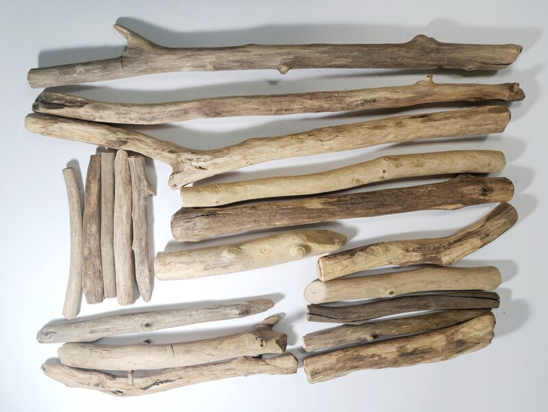 Jūras izskalotie koki D 2.5-4cm.