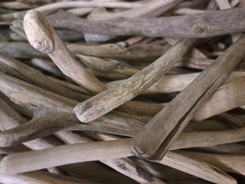 Jūras koku mix komplekts radošiem darbiem .