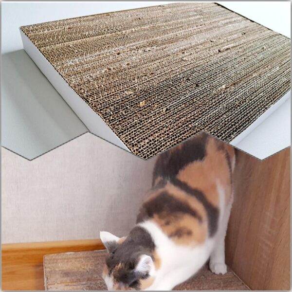 MAZAIS KAĶA SKRĀPIS "ĶITIJA"