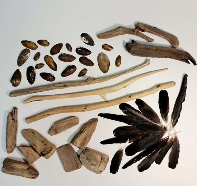 DABAS DĀRGUMU KOMPLEKTS 1.